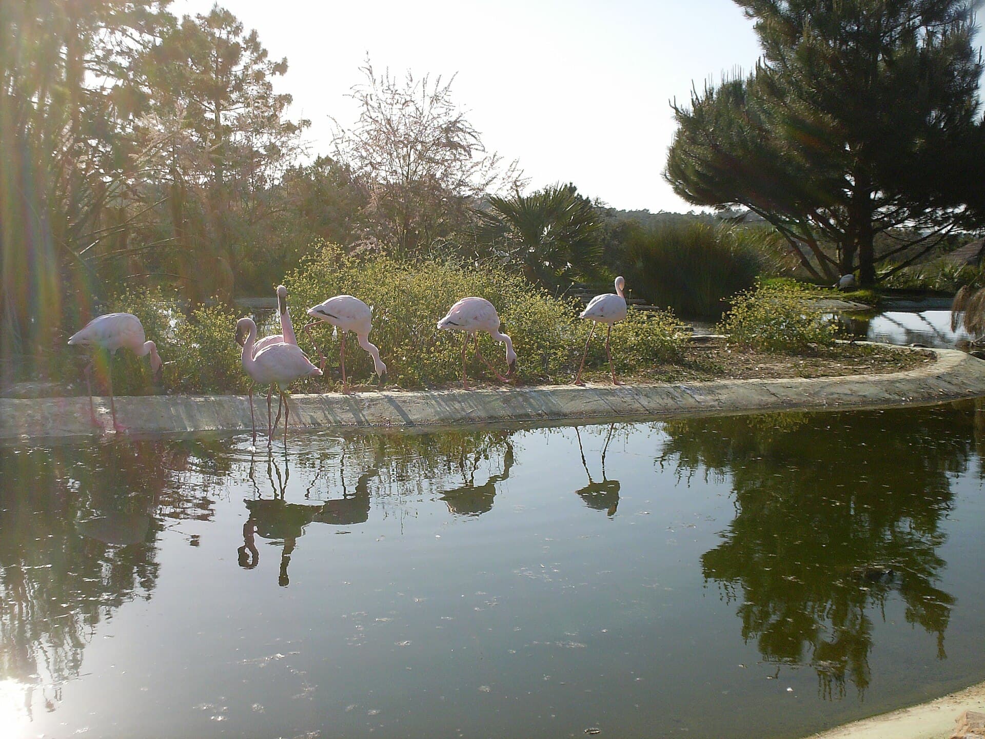 Badoca Safari Park