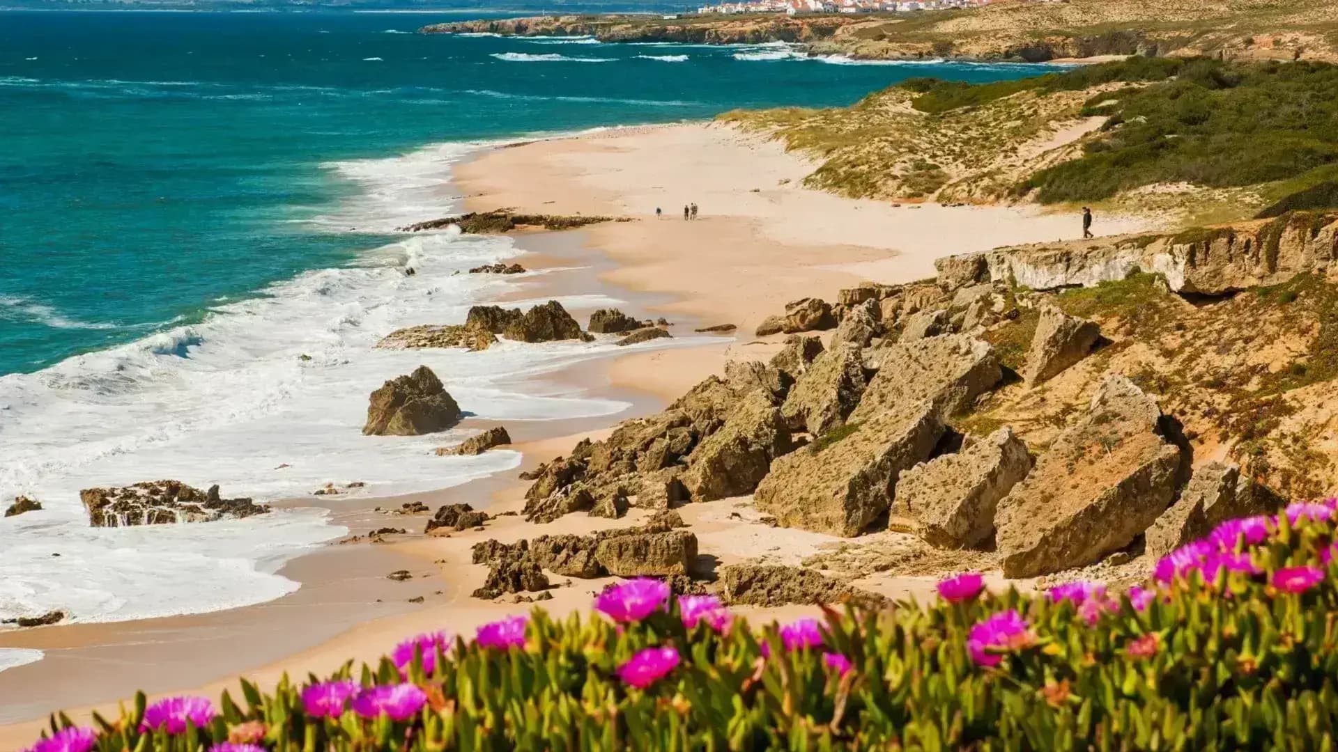 Praia Grande and the Porto Covo cliffs, with wildflowers in the foreground