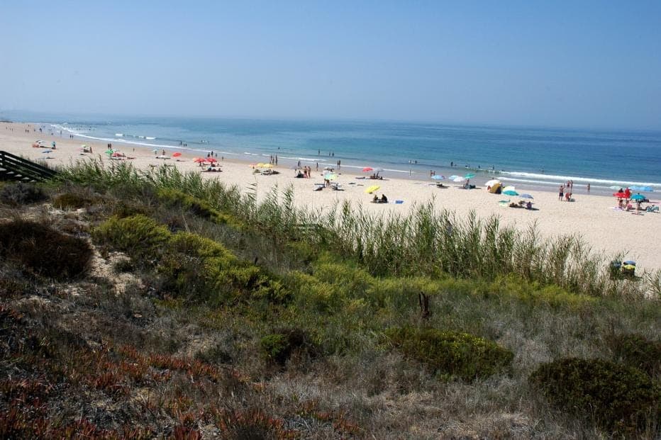 The sand running north from the dunes. The extent is the point of this beach